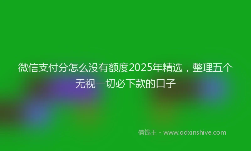 微信支付分怎么没有额度2025年精选，整理五个无视一切必下款的口子