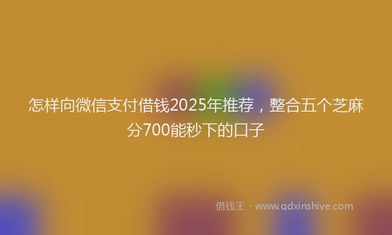 怎样向微信支付借钱2025年推荐，整合五个芝麻分700能秒下的口子