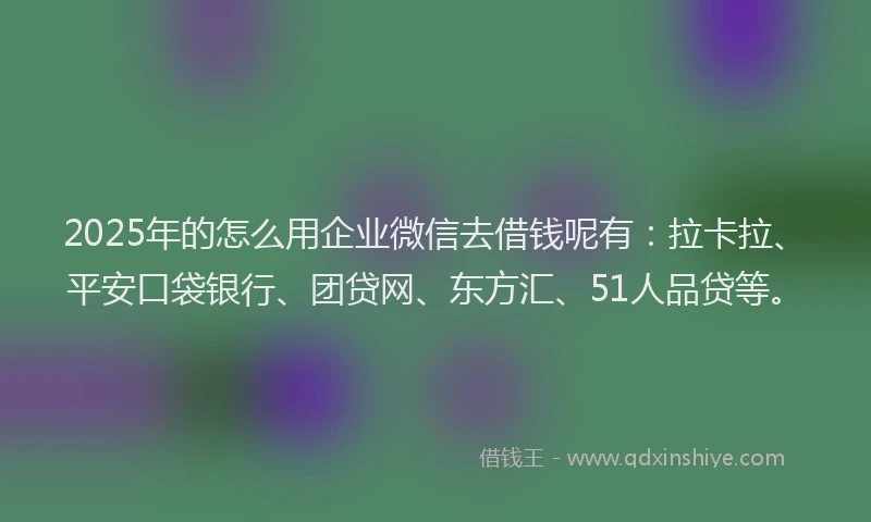 2025年的怎么用企业微信去借钱呢有：拉卡拉、平安口袋银行、团贷网、东方汇、51人品贷等。