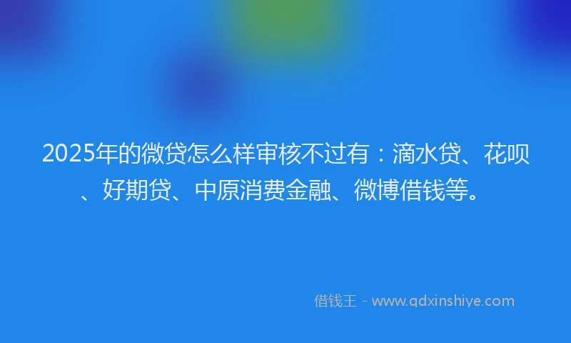 2025年的微贷怎么样审核不过有：滴水贷、花呗、好期贷、中原消费金融、微博借钱等。