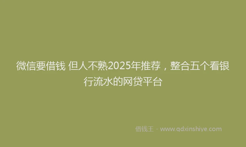 微信要借钱 但人不熟2025年推荐，整合五个看银行流水的网贷平台