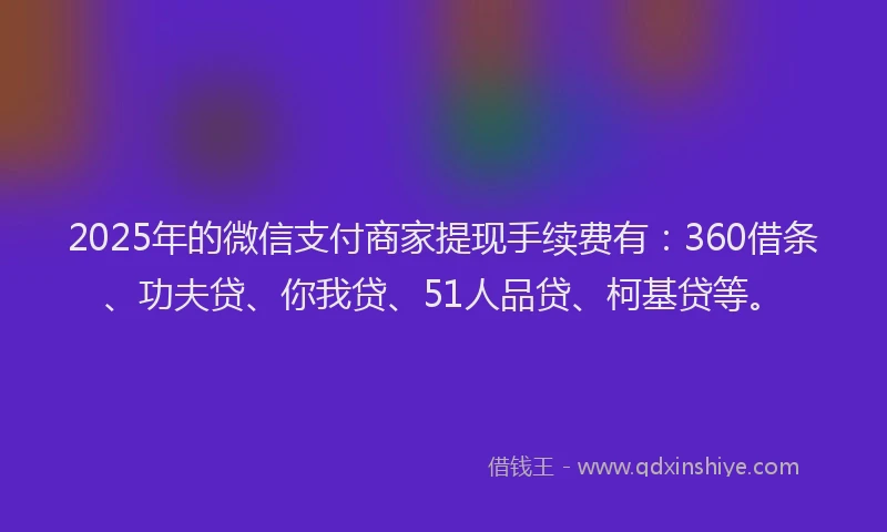 2025年的微信支付商家提现手续费有：360借条、功夫贷、你我贷、51人品贷、柯基贷等。