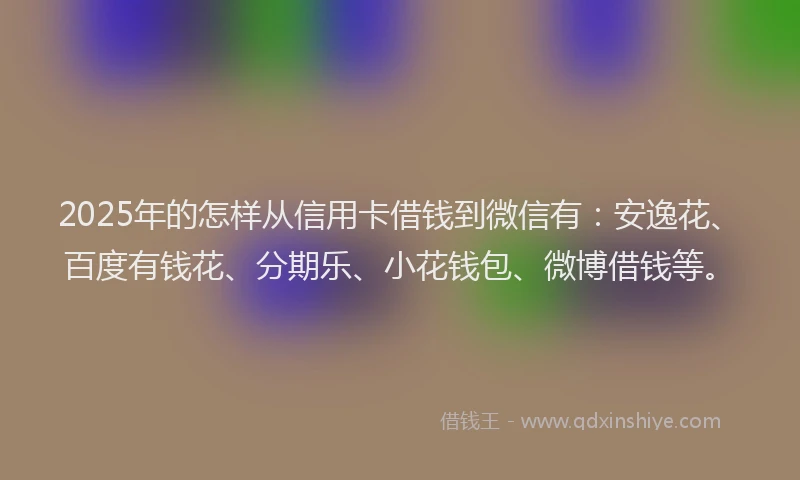 2025年的怎样从信用卡借钱到微信有：安逸花、百度有钱花、分期乐、小花钱包、微博借钱等。