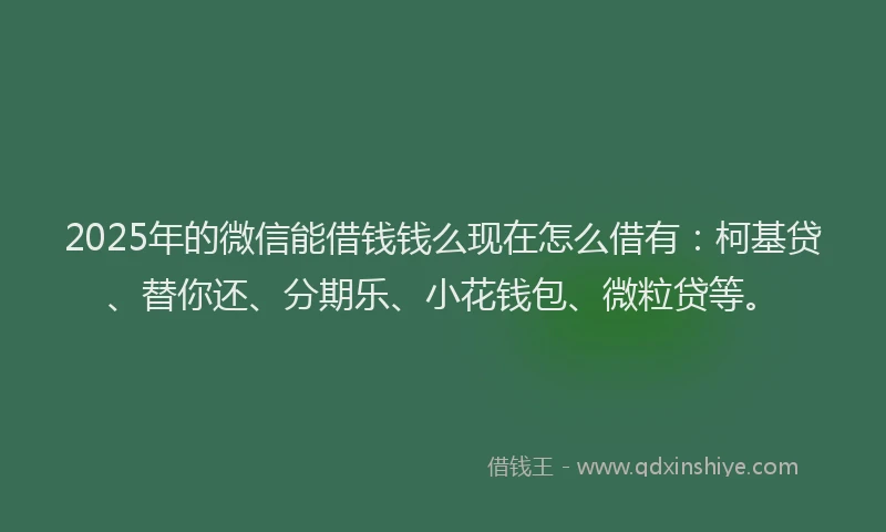 2025年的微信能借钱钱么现在怎么借有：柯基贷、替你还、分期乐、小花钱包、微粒贷等。
