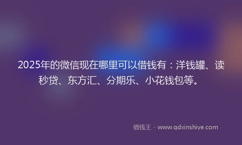 2025年的微信现在哪里可以借钱有：洋钱罐、读秒贷、东方汇、分期乐、小花钱包等。