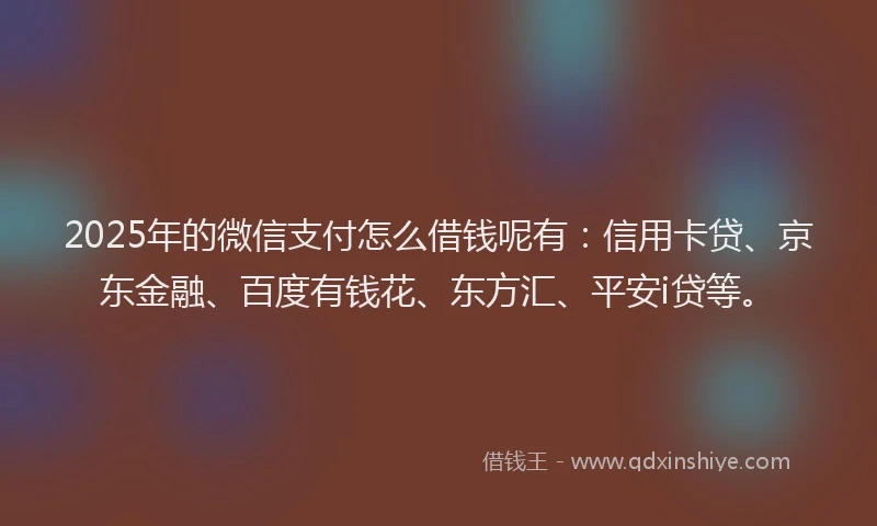 2025年的微信支付怎么借钱呢有：信用卡贷、京东金融、百度有钱花、东方汇、平安i贷等。