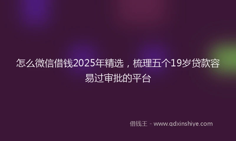 怎么微信借钱2025年精选，梳理五个19岁贷款容易过审批的平台
