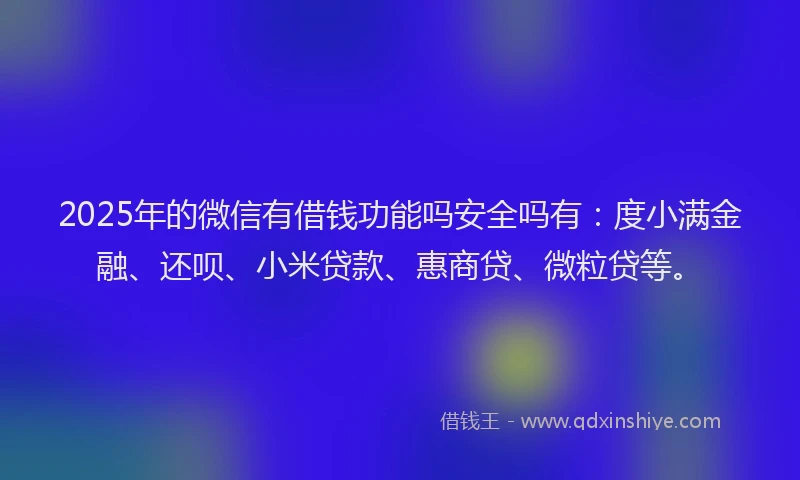 2025年的微信有借钱功能吗安全吗有：度小满金融、还呗、小米贷款、惠商贷、微粒贷等。