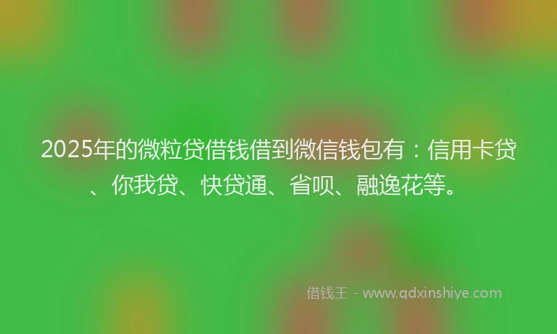 2025年的微粒贷借钱借到微信钱包有：信用卡贷、你我贷、快贷通、省呗、融逸花等。