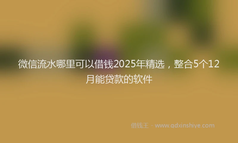 微信流水哪里可以借钱2025年精选，整合5个12月能贷款的软件