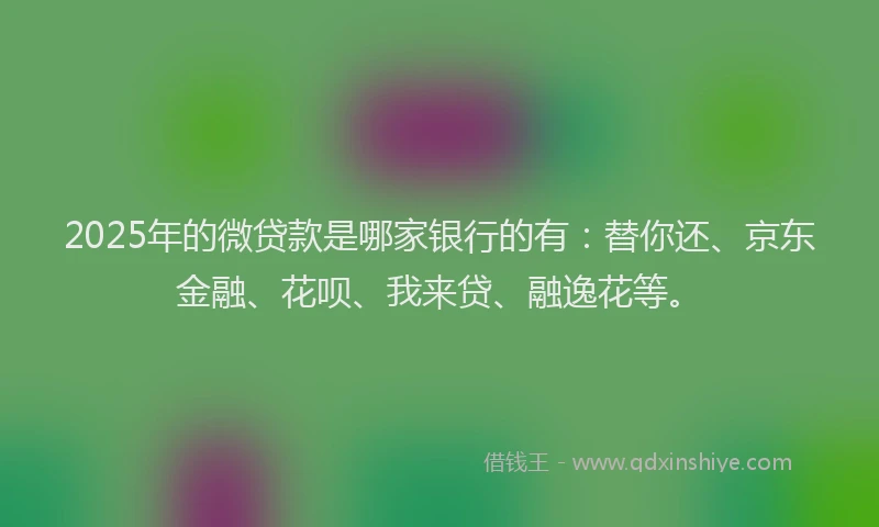 2025年的微贷款是哪家银行的有：替你还、京东金融、花呗、我来贷、融逸花等。