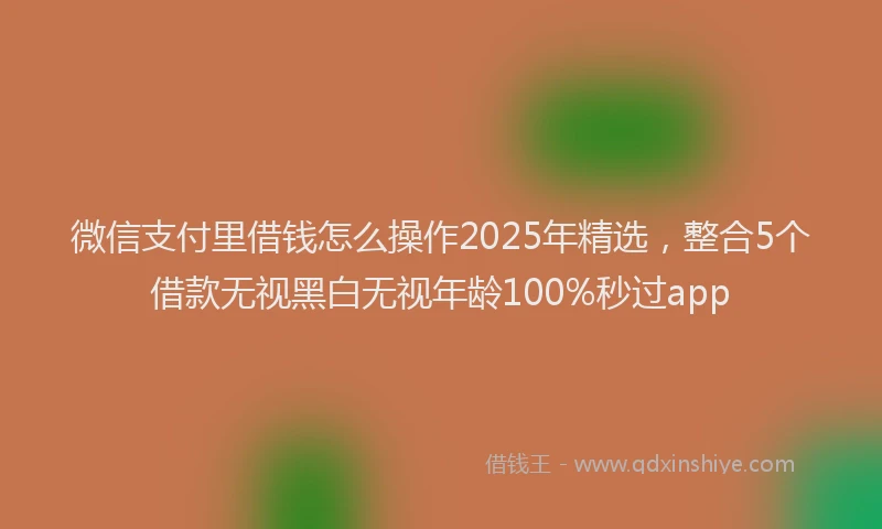 微信支付里借钱怎么操作2025年精选，整合5个借款无视黑白无视年龄100%秒过app
