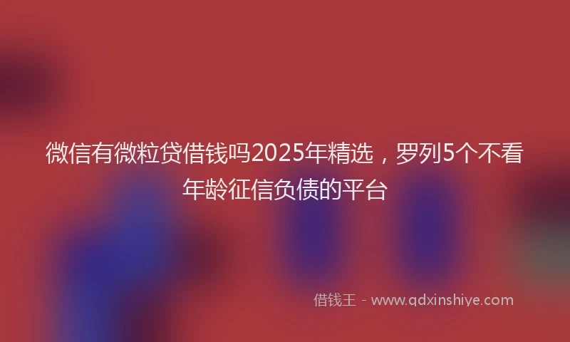 微信有微粒贷借钱吗2025年精选，罗列5个不看年龄征信负债的平台