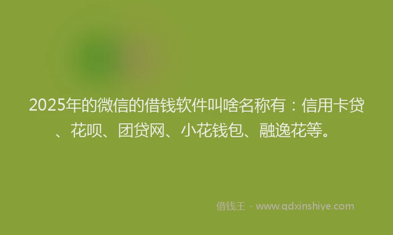 2025年的微信的借钱软件叫啥名称有：信用卡贷、花呗、团贷网、小花钱包、融逸花等。