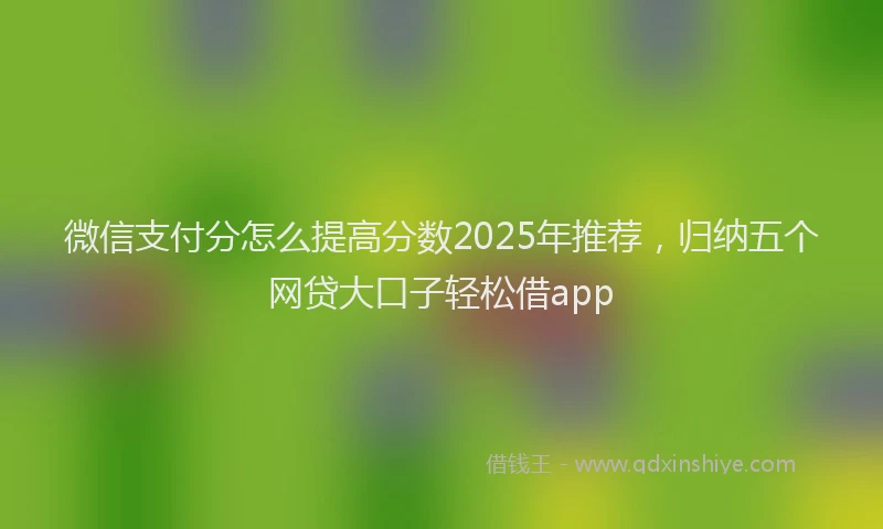 微信支付分怎么提高分数2025年推荐，归纳五个网贷大口子轻松借app