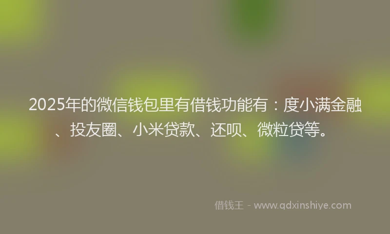 2025年的微信钱包里有借钱功能有：度小满金融、投友圈、小米贷款、还呗、微粒贷等。