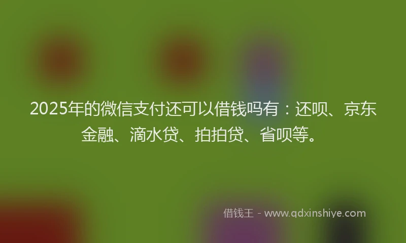 2025年的微信支付还可以借钱吗有：还呗、京东金融、滴水贷、拍拍贷、省呗等。