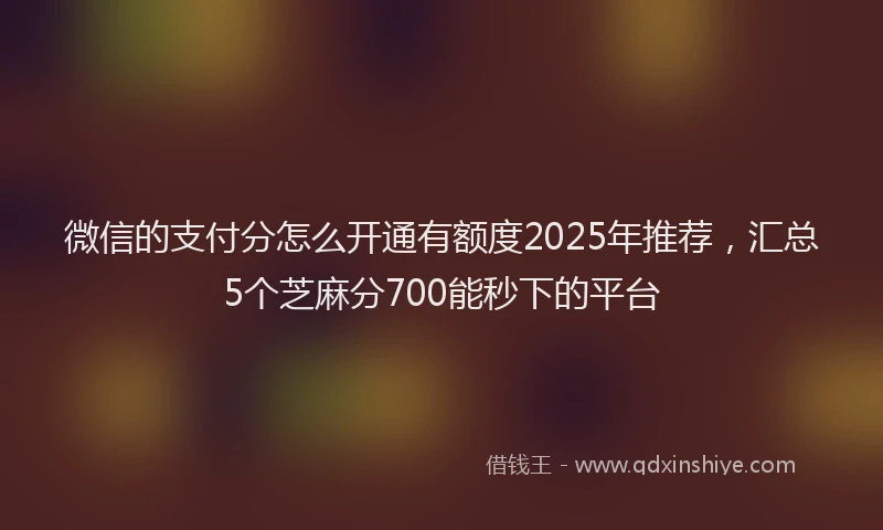 微信的支付分怎么开通有额度2025年推荐，汇总5个芝麻分700能秒下的平台
