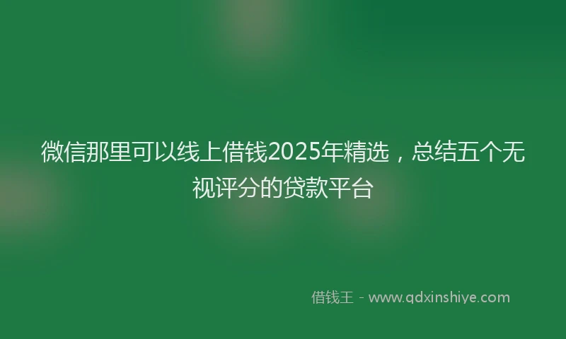 微信那里可以线上借钱2025年精选，总结五个无视评分的贷款平台