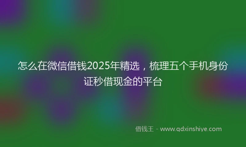 怎么在微信借钱2025年精选，梳理五个手机身份证秒借现金的平台