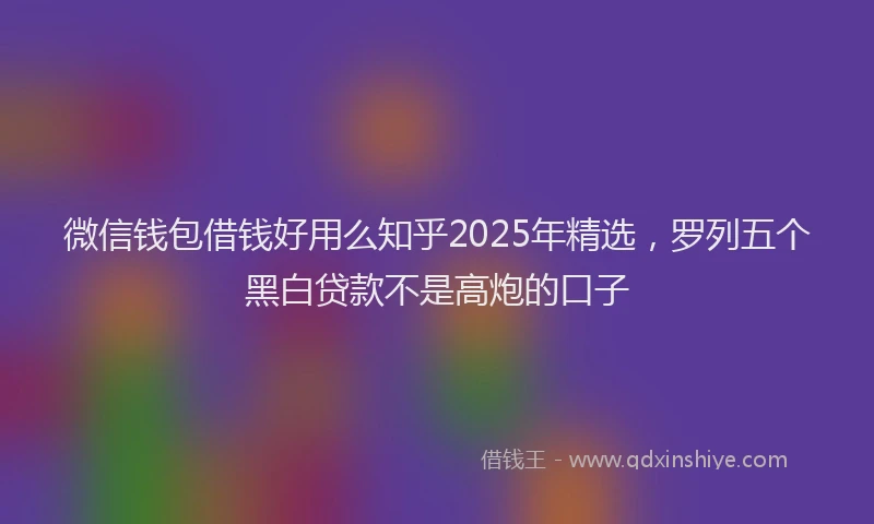 微信钱包借钱好用么知乎2025年精选，罗列五个黑白贷款不是高炮的口子