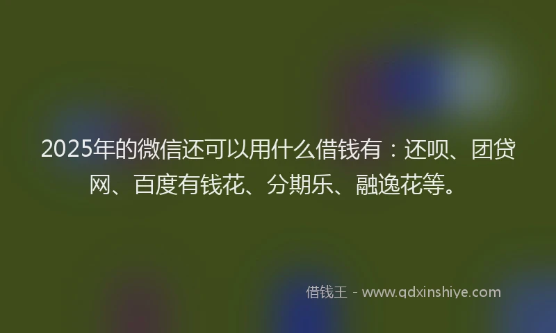 2025年的微信还可以用什么借钱有：还呗、团贷网、百度有钱花、分期乐、融逸花等。