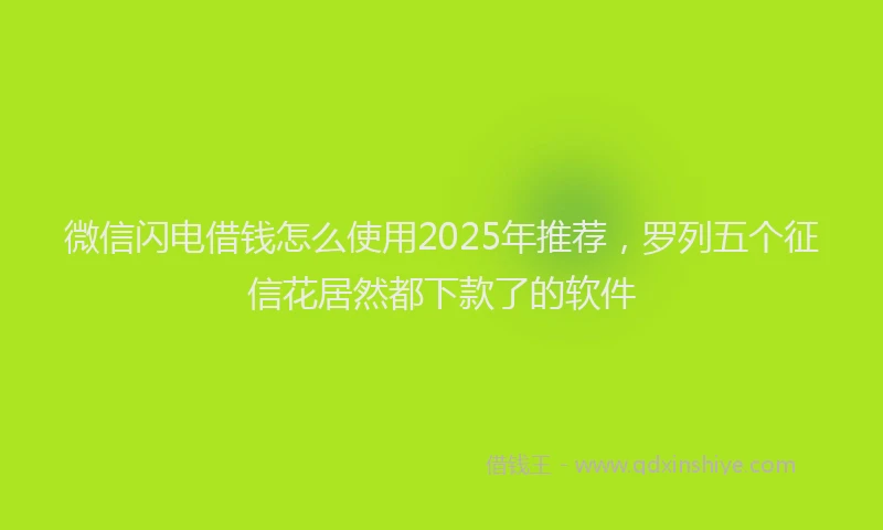 微信闪电借钱怎么使用2025年推荐，罗列五个征信花居然都下款了的软件