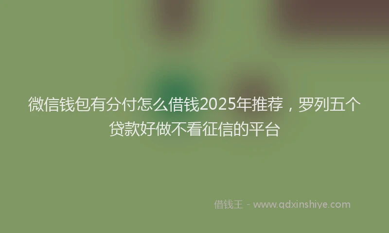 微信钱包有分付怎么借钱2025年推荐，罗列五个贷款好做不看征信的平台