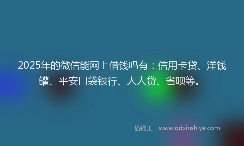 2025年的微信能网上借钱吗有：信用卡贷、洋钱罐、平安口袋银行、人人贷、省呗等。