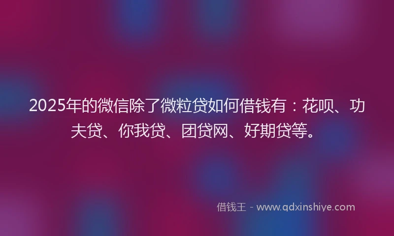 2025年的微信除了微粒贷如何借钱有：花呗、功夫贷、你我贷、团贷网、好期贷等。