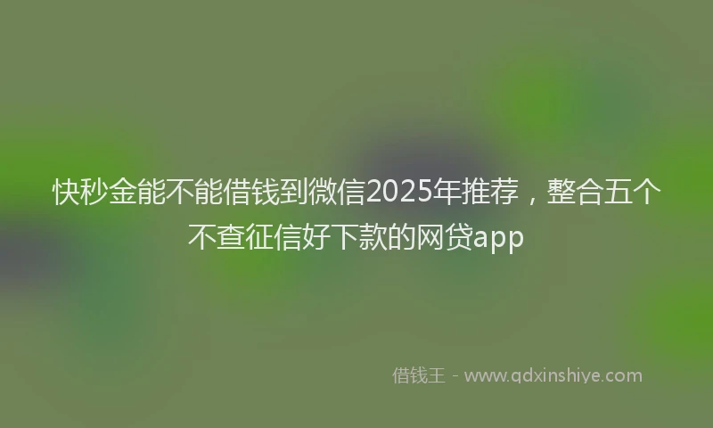 快秒金能不能借钱到微信2025年推荐，整合五个不查征信好下款的网贷app