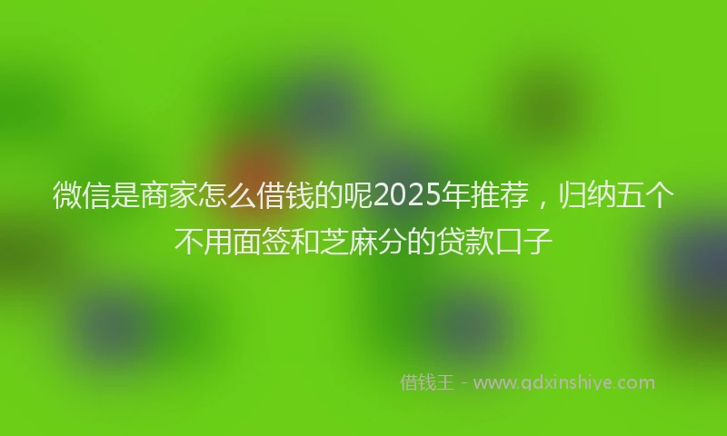 微信是商家怎么借钱的呢2025年推荐，归纳五个不用面签和芝麻分的贷款口子