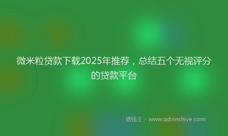 微米粒贷款下载2025年推荐，总结五个无视评分的贷款平台