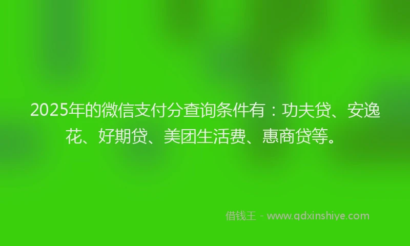 2025年的微信支付分查询条件有：功夫贷、安逸花、好期贷、美团生活费、惠商贷等。