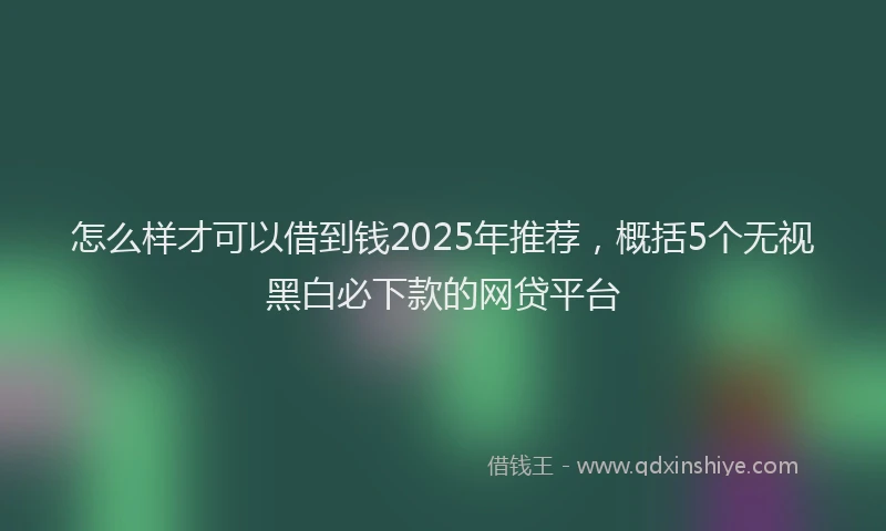怎么样才可以借到钱2025年推荐，概括5个无视黑白必下款的网贷平台