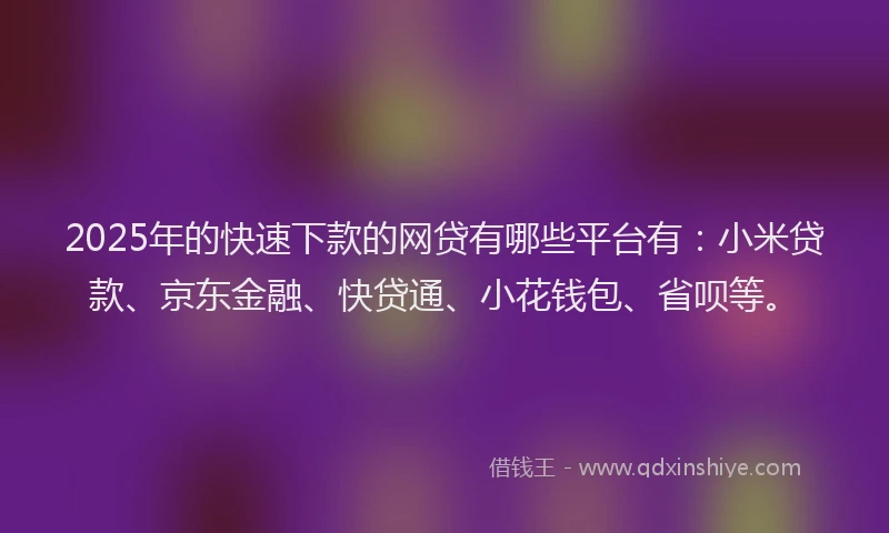 2025年的快速下款的网贷有哪些平台有：小米贷款、京东金融、快贷通、小花钱包、省呗等。