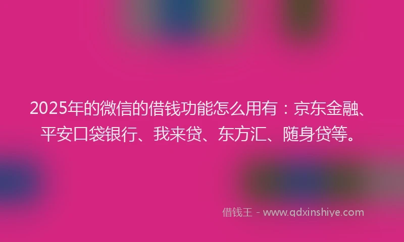 2025年的微信的借钱功能怎么用有：京东金融、平安口袋银行、我来贷、东方汇、随身贷等。