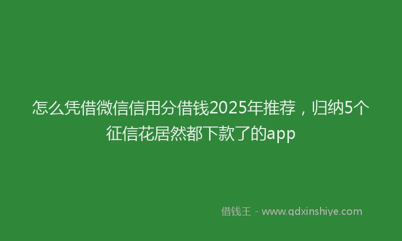 怎么凭借微信信用分借钱2025年推荐，归纳5个征信花居然都下款了的app