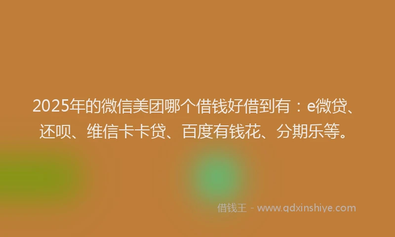 2025年的微信美团哪个借钱好借到有：e微贷、还呗、维信卡卡贷、百度有钱花、分期乐等。