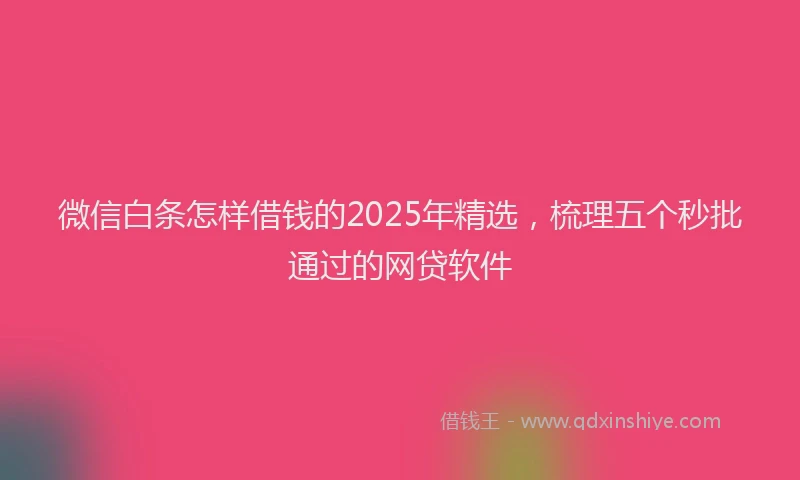 微信白条怎样借钱的2025年精选，梳理五个秒批通过的网贷软件