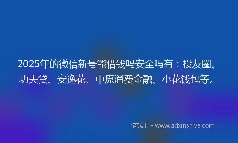 2025年的微信新号能借钱吗安全吗有：投友圈、功夫贷、安逸花、中原消费金融、小花钱包等。