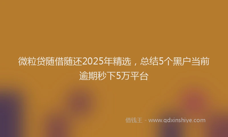 微粒贷随借随还2025年精选，总结5个黑户当前逾期秒下5万平台