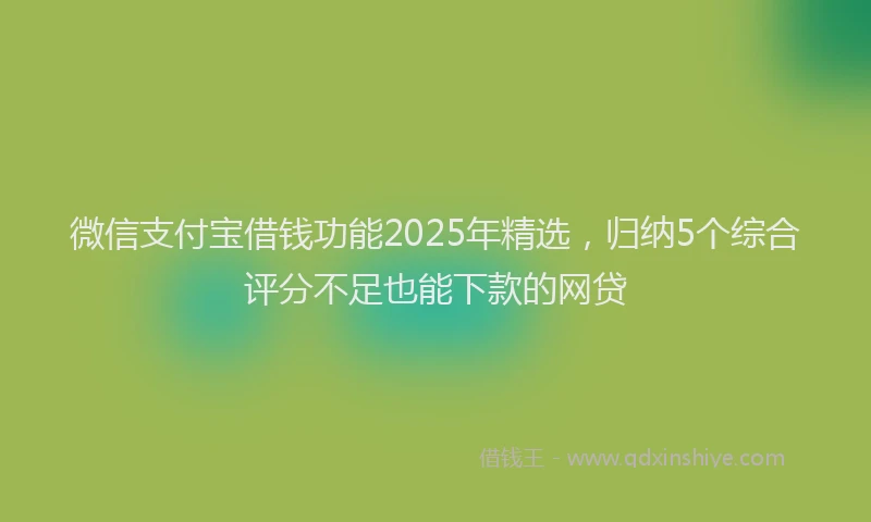 微信支付宝借钱功能2025年精选，归纳5个综合评分不足也能下款的网贷