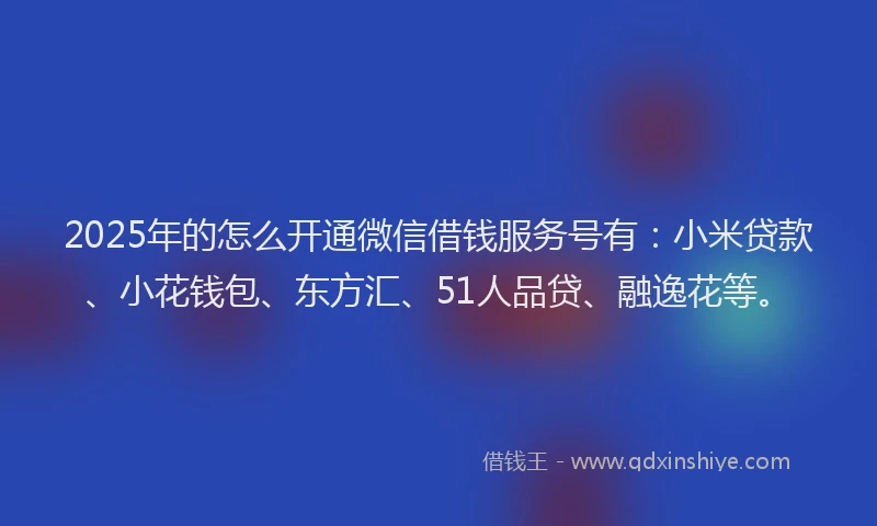 2025年的怎么开通微信借钱服务号有：小米贷款、小花钱包、东方汇、51人品贷、融逸花等。