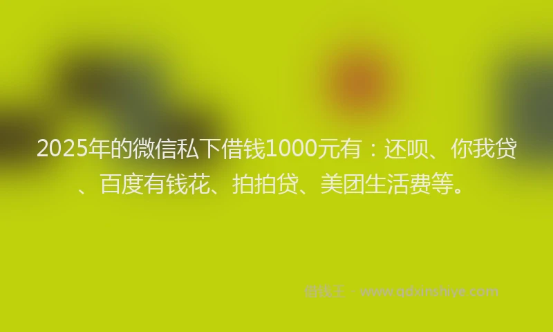 2025年的微信私下借钱1000元有：还呗、你我贷、百度有钱花、拍拍贷、美团生活费等。