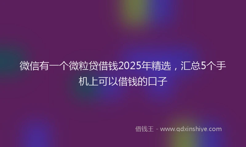 微信有一个微粒贷借钱2025年精选，汇总5个手机上可以借钱的口子