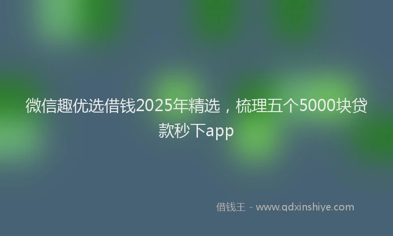 微信趣优选借钱2025年精选，梳理五个5000块贷款秒下app