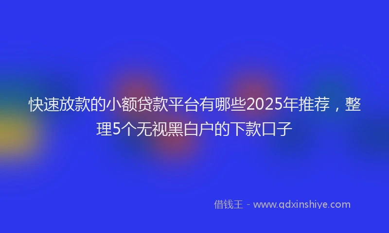 快速放款的小额贷款平台有哪些2025年推荐，整理5个无视黑白户的下款口子