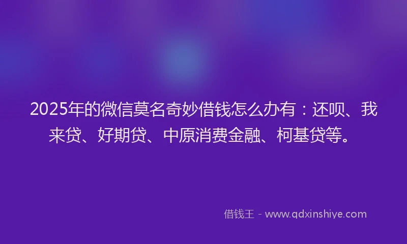 2025年的微信莫名奇妙借钱怎么办有:还呗、我来贷、好期贷、中原消费金融、柯基贷等。