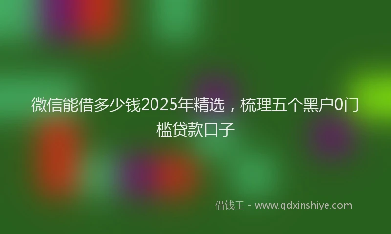 微信能借多少钱2025年精选，梳理五个黑户0门槛贷款口子